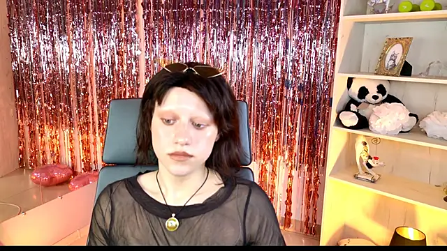 LidaDarknet webcam