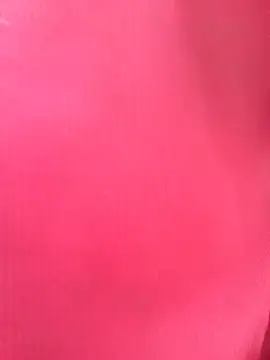 Hoa-tuylip