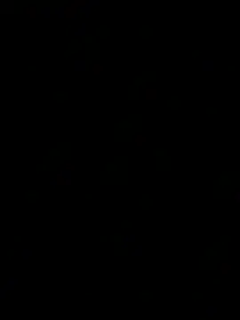 Texascoastedger webcam
