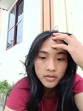 Hoa-tuylip webcam