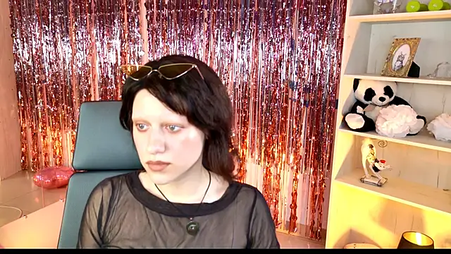 LidaDarknet webcam