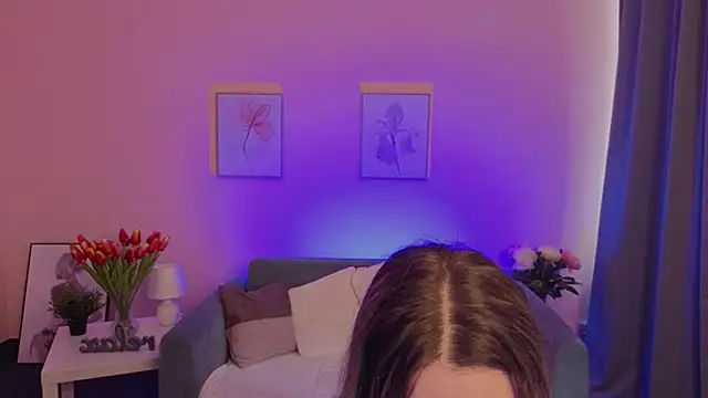 evafolver webcam