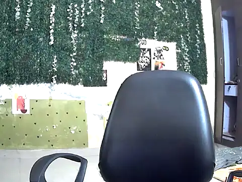 shallykaur webcam