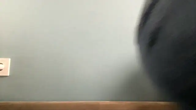 AiEsquer webcam