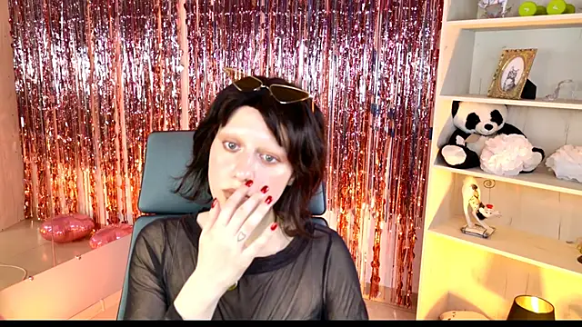 LidaDarknet webcam
