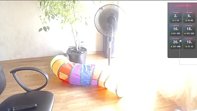 Victory80lvl webcam