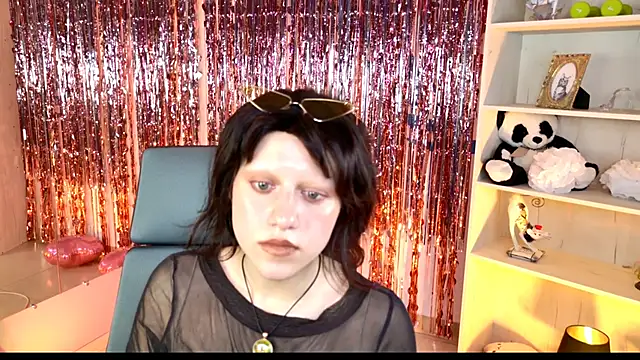 LidaDarknet webcam
