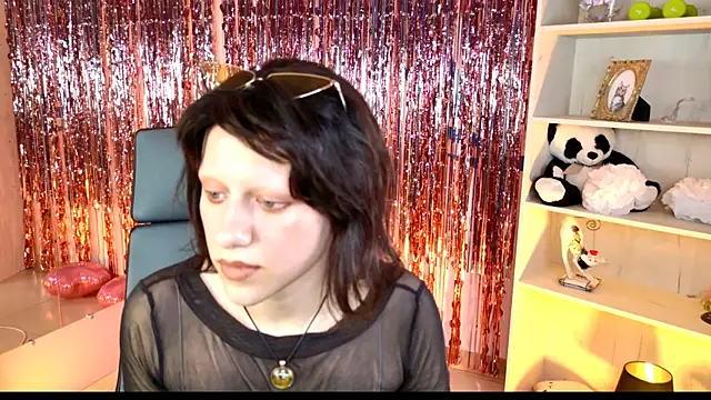 LidaDarknet webcam