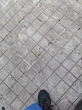 GreekGuyOutdoors webcam preview