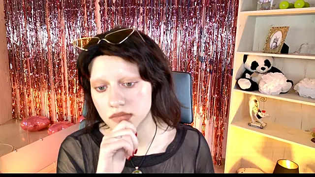 LidaDarknet webcam