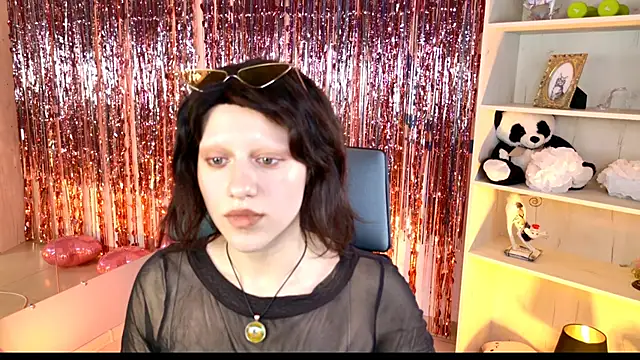 LidaDarknet webcam