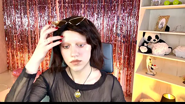 LidaDarknet webcam