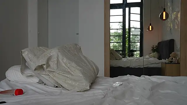 ibiddi webcam