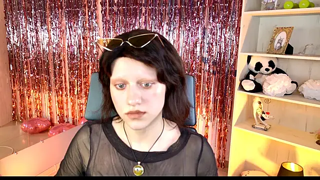 LidaDarknet webcam