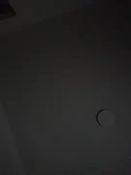 mitschellfox21 webcam