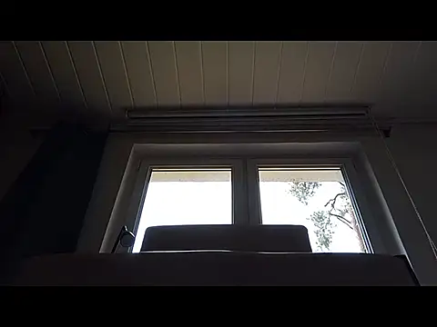 Rainfish webcam