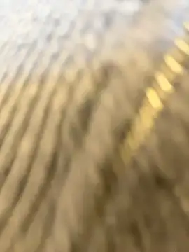 SashaCatt webcam