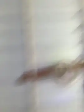 GeorgiandCoi webcam