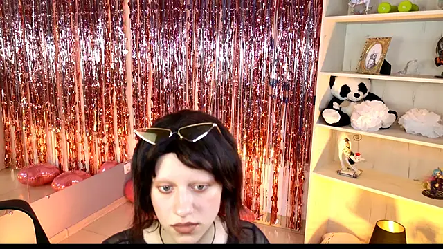 LidaDarknet webcam