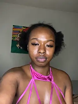 TinyBlazian901 webcam