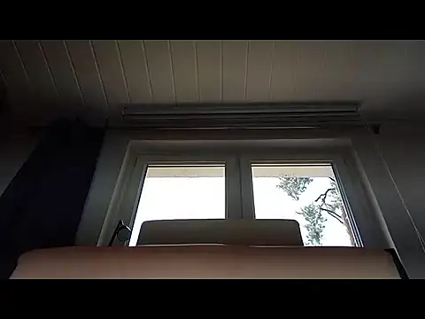 Rainfish webcam