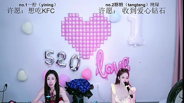 CCTW-100 webcam