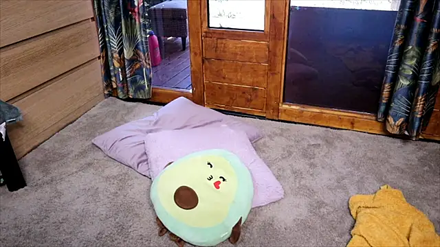 LittleMe97 webcam