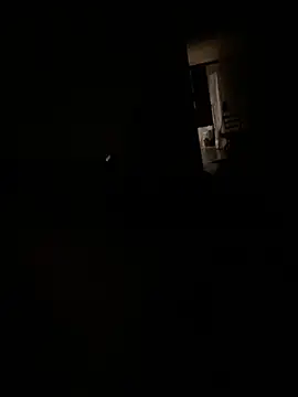 NiftyCaptain3 webcam