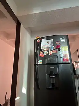 Michel_Jones webcam