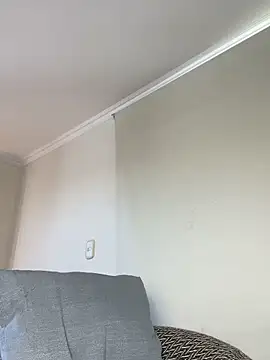Samispank webcam