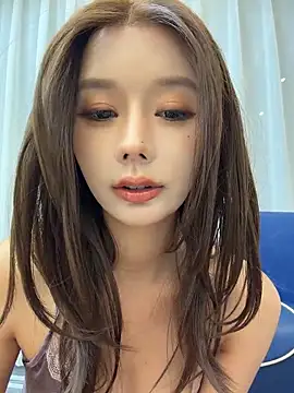 BBi-0329 webcam