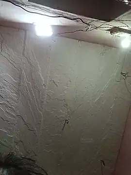 Deepjakolirr webcam