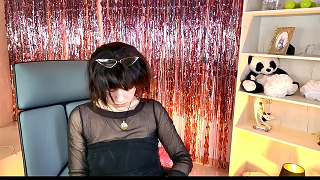 LidaDarknet webcam