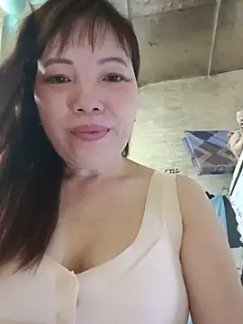 Sana-vn webcam