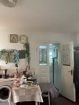 Frosl webcam