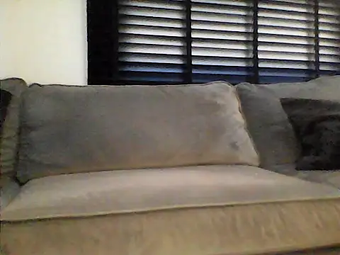 perlados webcam