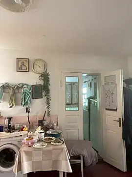 Frosl webcam