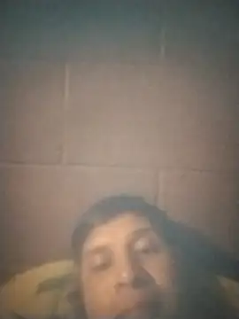 33elguason webcam