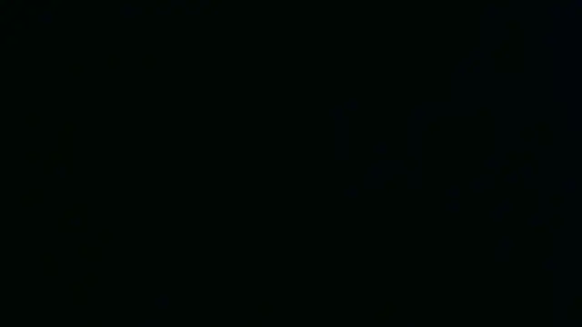 alaviya-19 webcam