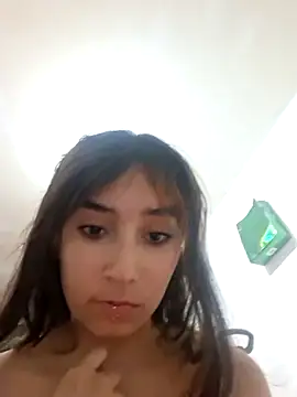 Ariaest webcam