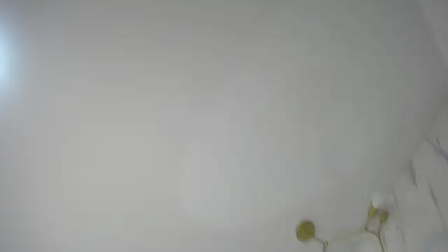 lia_harper_t webcam