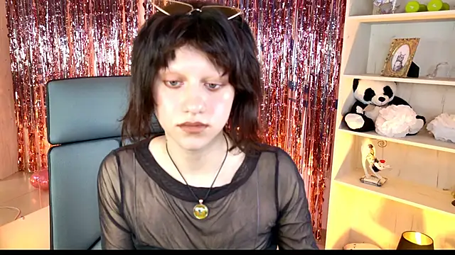 LidaDarknet webcam