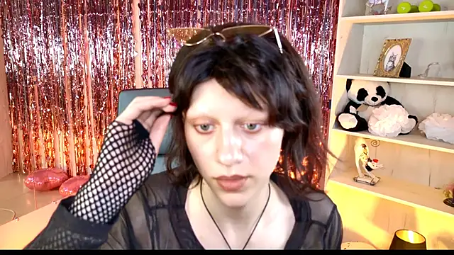 LidaDarknet webcam