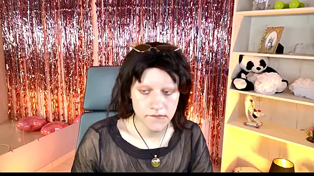 LidaDarknet webcam