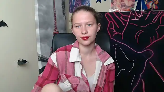 StellaCRL webcam