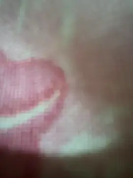 Rejoined_Sugar webcam