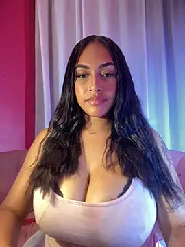 MaverickGray webcam