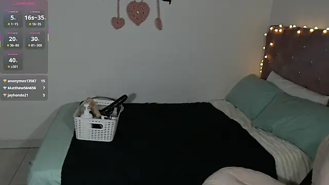Karlinlive webcam