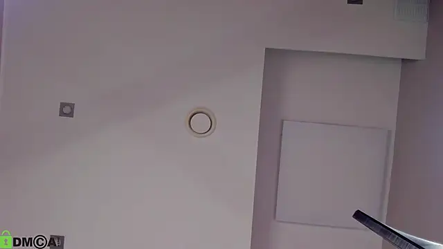 Vanessa_Harr1s webcam