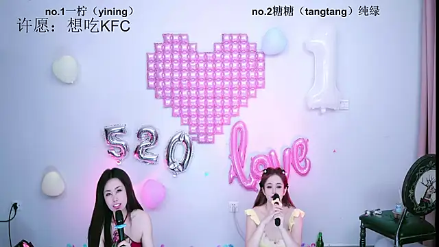 CCTW-100 webcam